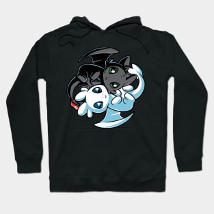 Toothless and Light Fury - How to train your dragon Hoodie